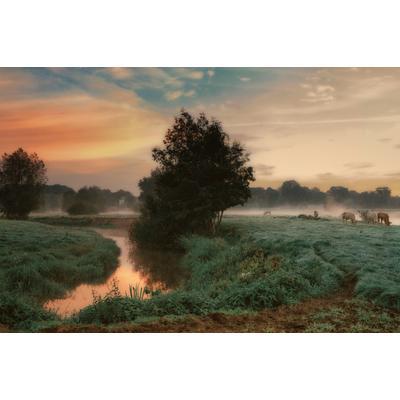 Papermoon "Photo-Art SASKIA DINGEMANS, NEBLIGER TRAUM"