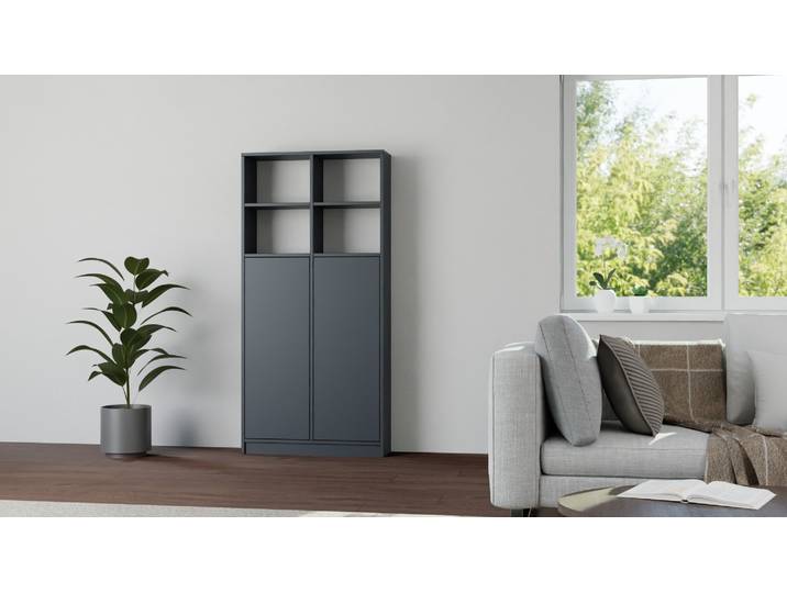 Schlichtes Geschirrregal mit Türen Premium Dekore Schwarz