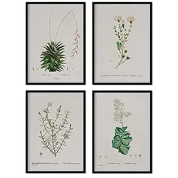 POSTER Set mit 4 mit weißen Blättern aus dem Künstler PierreJoseph Redouté A3 Schwarzer Rahmen