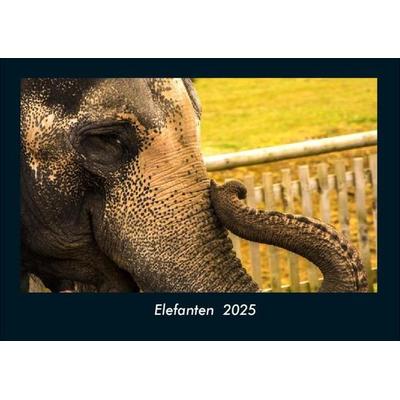 Elefanten 2025 Fotokalender DIN A4