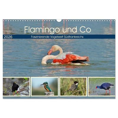 Flamingo und Co - Faszinierende Vogelwelt Südfrankreichs (Wandkalender 2026 DIN A3 quer), CALVENDO Monatskalender