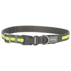 Beleuchtetes Halsband KERBL Light & Reflex, 45 - 65 cm x 25 mm, gelb