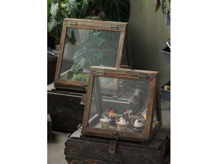 Boîte d'isolation pour plantes, boîte de protection pour plantes vertes, couverture en verre pour l'hivernage des plantes, serre de jardin, cour, balcon rétro