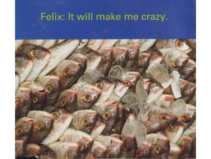 It Will Make me Crazy [Import]