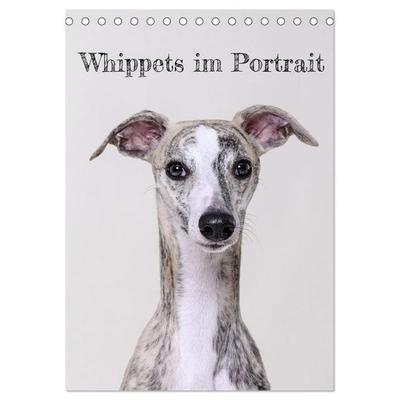 Whippets im Portrait (Tischkalender 2027 DIN A5 hoch), CALVENDO Monatskalender