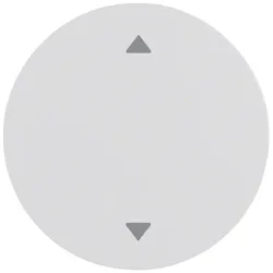 Berker 16202049 Wippe mit Aufdr Symbol Pfeile R.1/R.3 pw