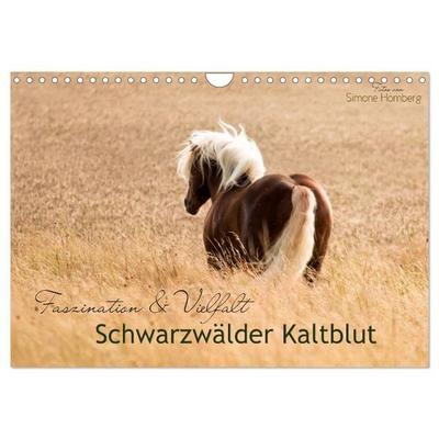 Faszination und Vielfalt - Schwarzwälder Kaltblut (Wandkalender 2027 DIN A4 quer), CALVENDO Monatskalender