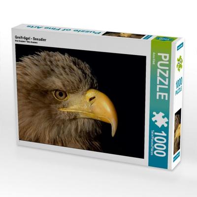 CALVENDO Puzzle Greifvögel - Seeadler | 1000 Teile Lege-Größe 64x48cm Foto-Puzzle für glückliche Stunden