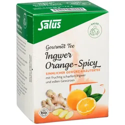 Ingwer Orange-Spicy Tee Salus
