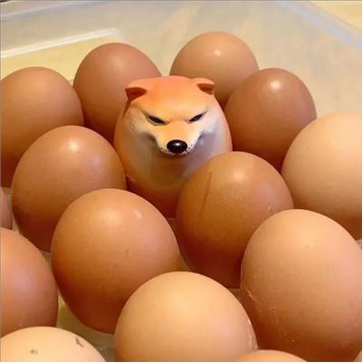 Uplift Picks Shiba Inu Egg Desk Decor Cute Dog Figurine Novelty Ornament Shiba Inu Egg Desk Decor Cute Dog Figurine Novelty Ornament