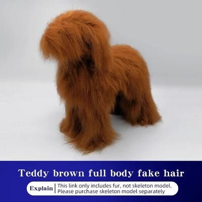 Uplifted Finds Professional Groomers Teddy Simulation Model teddy Hair Brown