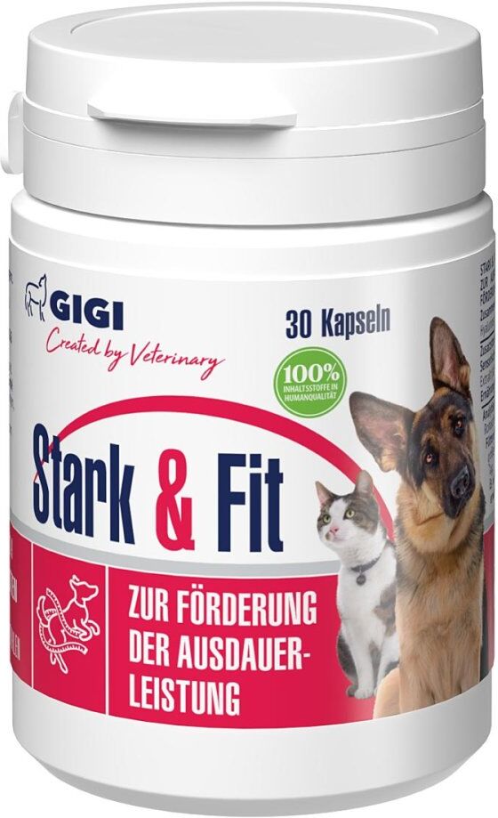 GIGI VET Stark & Fit für Hunde und Katzen N30