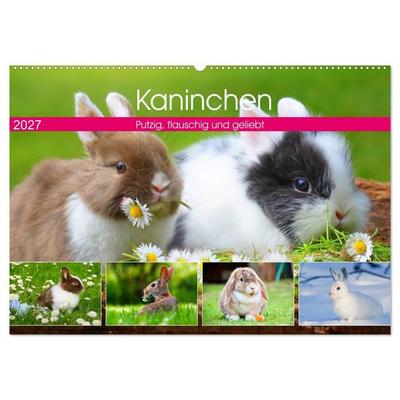 Kaninchen. Putzig, flauschig und geliebt (Wandkalender 2027 DIN A2 quer), CALVENDO Monatskalender