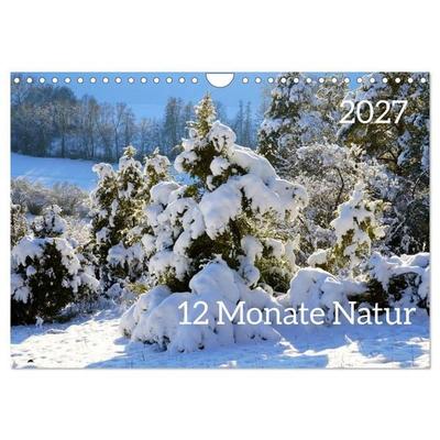 12 Monate Natur (Wandkalender 2027 DIN A4 quer), CALVENDO Monatskalender