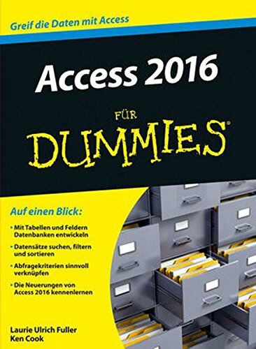 Laurie Fuller - Access 2016 für Dummies - Preis vom 17.10.2026 19:25:27 h