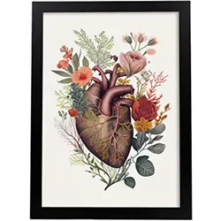 POSTER Anatomie Herz A4 Schwarzer Rahmen
