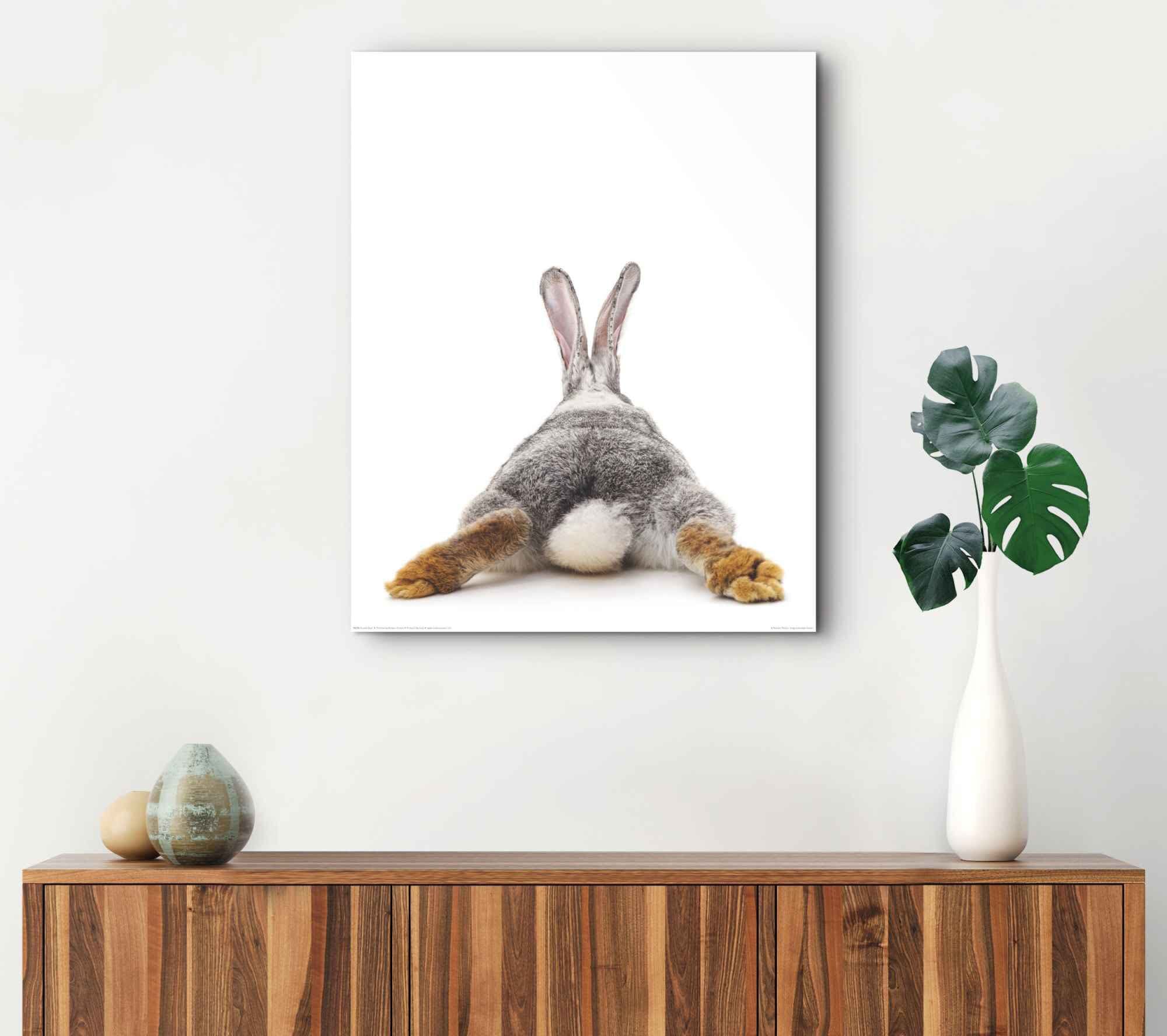 Reinders! Wandbild REINDERS "Wandbild Kaninchen Rabbit - Hase - Schwanz - Relax", weiss (farbe bild(er): weiß), B:40cm H:50cm, MDF, Bilder, Wandbild farbe bild(er): weiß B/H/T: 40cm x 50cm, 1 Stk.