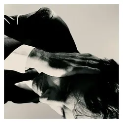 Inside Problems (Vinyl), Schallplatten
