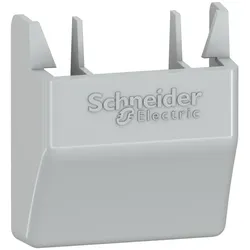 Schneider Electric NSYCAEFPF Set, 4 Abdeckungen für Wandbefestigungswinkel für PanelSeT S3D/CRN