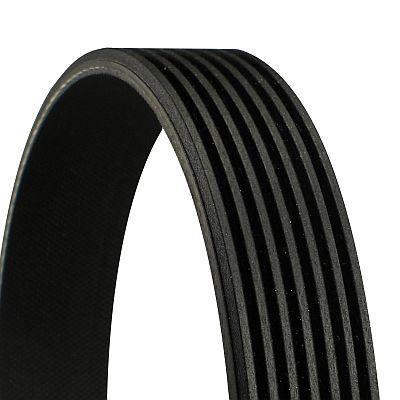 CONTINENTAL CTAM Keilrippenriemen 7pk1801 für LAND ROVER