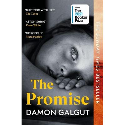 The Promise, Taschenbuch von Damon Galgut, Vermilion, 978-1-5291-1387-7