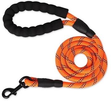 Inspired Living ComfortGrip Strong Dog Leash With Padded Soft Handle orange 1.2cm 2m