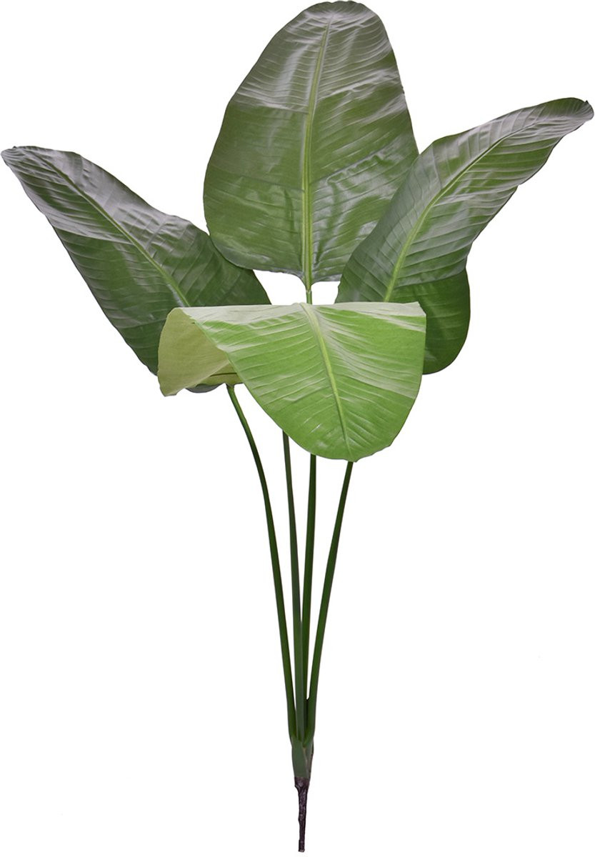 Maxifleur Strelitzia Nicolai Deluxe Kunstpalm Bush, 160 cm