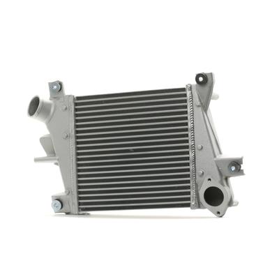 RIDEX Ladeluftkühler NISSAN 468I0016 14461ES61C,14461ES60A,14461ES61A Intercooler