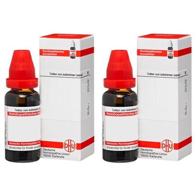 Bellis Perennis Extern Tinktur 2x 2x20 ml