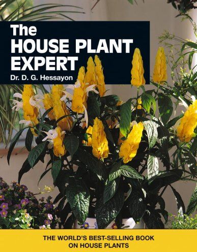 Hessayon, D. G. - The NEW House Plant Expert - Preis vom 13.10.2026 19:28:25 h