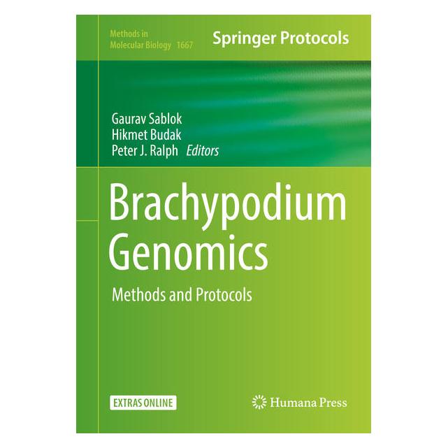 Springer Brachypodium Genomics (Englisch, Hardcover, Gaurav Sablok, Hikmet Budak, Peter J. Ralph) (9781493972760)