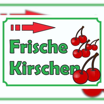 HB-Druck Verkaufsschild Schild Frische Kirschen zu verkaufen mit Pfeil nach rechts A3 (297x420mm)
