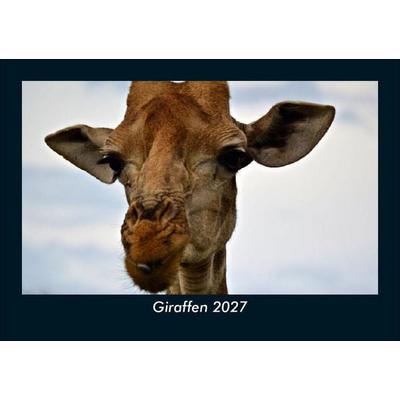 Giraffen 2027 Fotokalender DIN A5