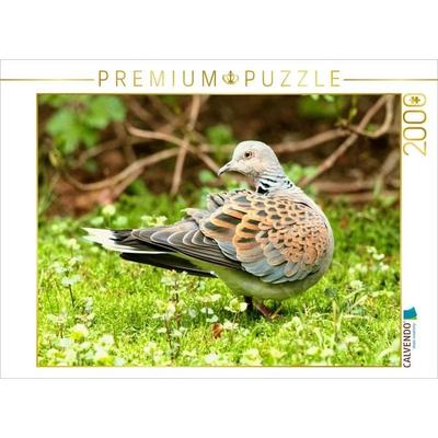 CALVENDO Puzzle Turteltaube - wunderschön gezeichnetes Gefieder | 2000 Teile Lege-Größe 90x67cm Foto-Puzzle für glückliche Stunden