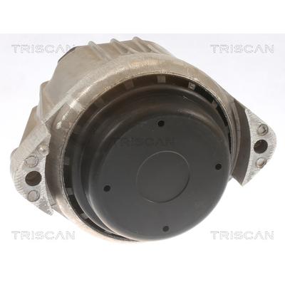 TRISCAN Lagerung, Motor 850511105 für BMW