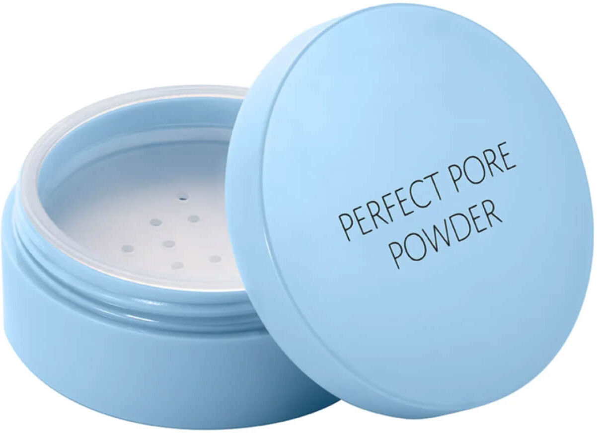 THE SAEM Saemmul Perfect Pore Powder 5g