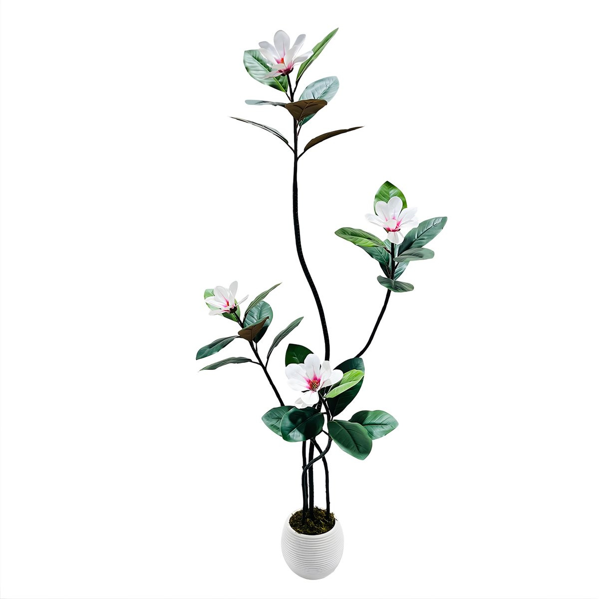 Happiq Kunstmatige Magnolia Boom met Rubberbladeren en Witte Pot - Groen - 150 cm