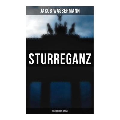 Sturreganz: Historischer Roman, Taschenbuch von Jakob Wassermann, Musaicum Books, 978-80-272-5902-1