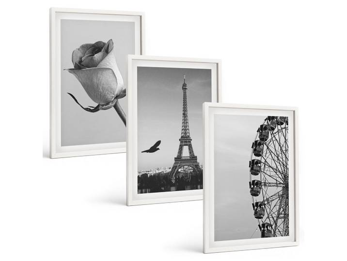 BILDER SET 3er Set - 40x60 cm Weißer Rahmen - Rose Eiffelturm Riesenrad