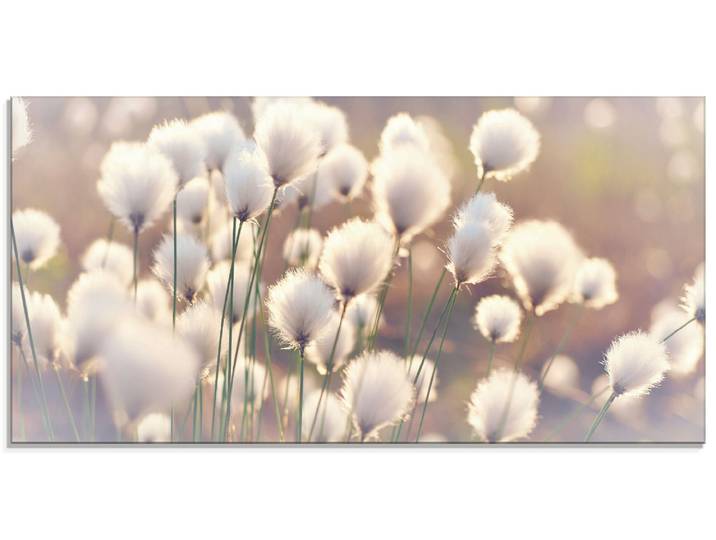 Glasbild ARTLAND Wollgraszauber im Moor , beige (farbe bild(er): naturfarben), B:100cm H:50cm, Bilder, Glasbild, in verschiedenen Grössen