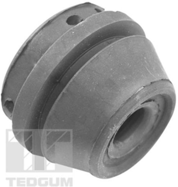 Tedgum Supporto motore 00728859