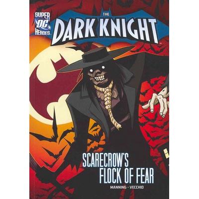 The Dark Knight: Batman and the Flock of Fear, Taschenbuch von Matthew K. Manning, Capstone, 978-1-4342-4217-4