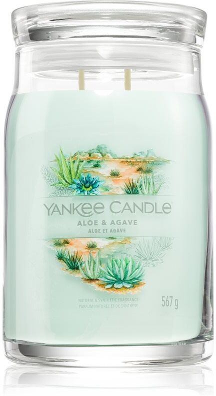 Yankee Candle Aloe & Agave bougie parfumée 567 g