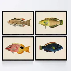 POSTER Set mit 4 Fischweinleseffekt blau gelb grüner Ton A4 Schwarzer Rahmen