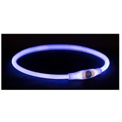 4x Trixie Flash Leuchtring USB (L, XL, Hund), Halsband + Leine