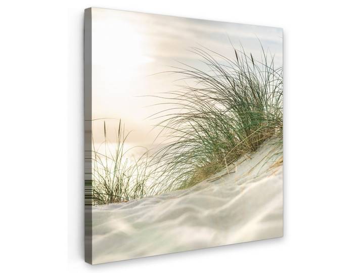 LEINWANDBILD Dünen mit Strandhafer in der Sonne des Nationalparks Schleswig-Holsteinisches Wattenmeer Deko Groß 90x90 cm