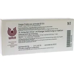 Vespa Crabro ex animale Gl D5 Ampullen 10X1 ml Ampullen