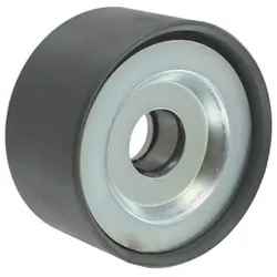 Umlenk-/Führungsrolle Keilrippenriemen SKF VKMCV 51030 für Triumph Jaguar Renault