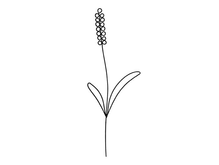 Feiner Lavendel Gartenstecker, Beetstecker aus Eisen, 22 x 7 x 0,2 cm