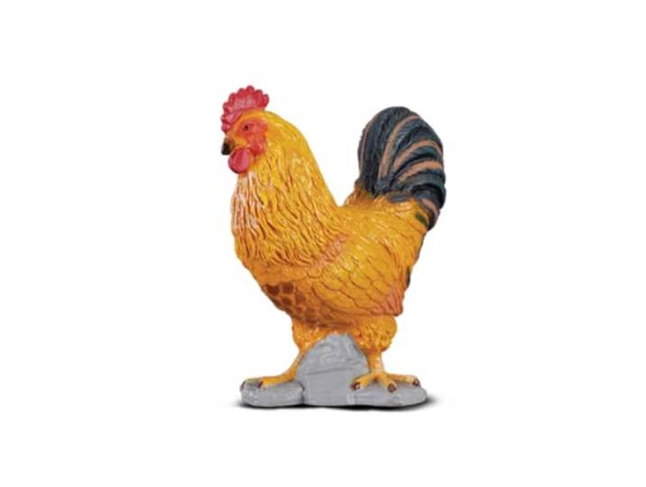 Collecta Cockerel